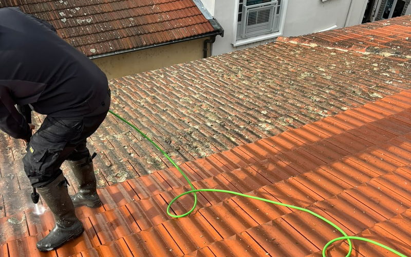 Application d'un traitement anti-mousse au pulvérisateur sur une couverture en tuiles