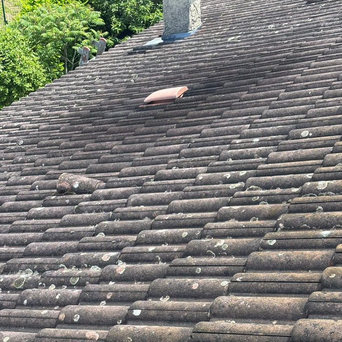 Mousses et lichens installés sur une couverture en tuiles béton avant traitement