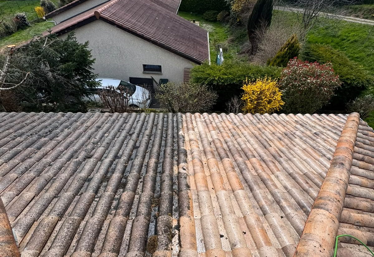 Pan de toiture démoussé, la limite avec la partie encrassée reste visible