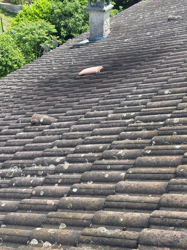 Tapis de mousse sur une couverture en tuiles béton avant traitement anti-mousse