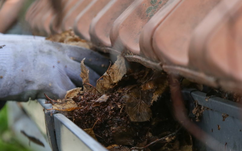 Nettoyage d'une gouttière obstruée par les feuilles, vidée à la main