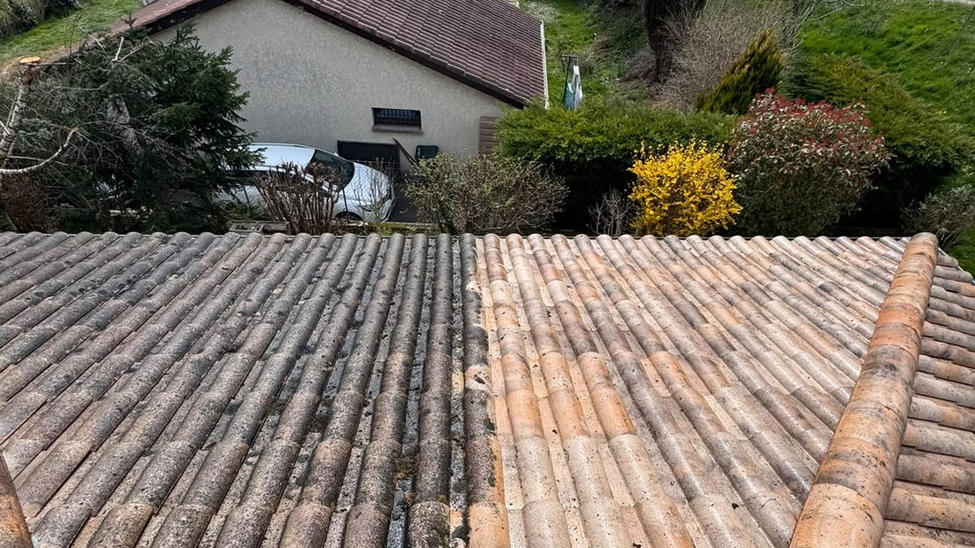 Toiture en partie envahie par la mousse, signe qu'un démoussage s'impose