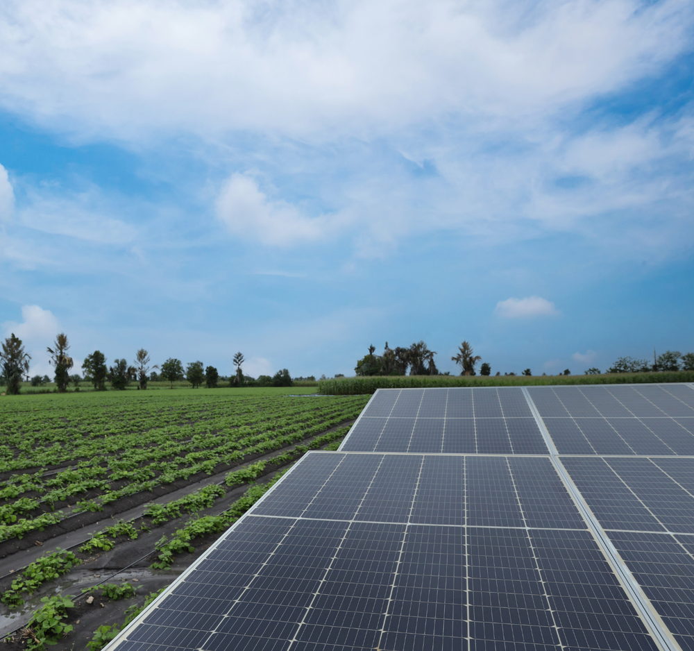 Rangées de panneaux solaires au sol, entretenues par RPS Toiture