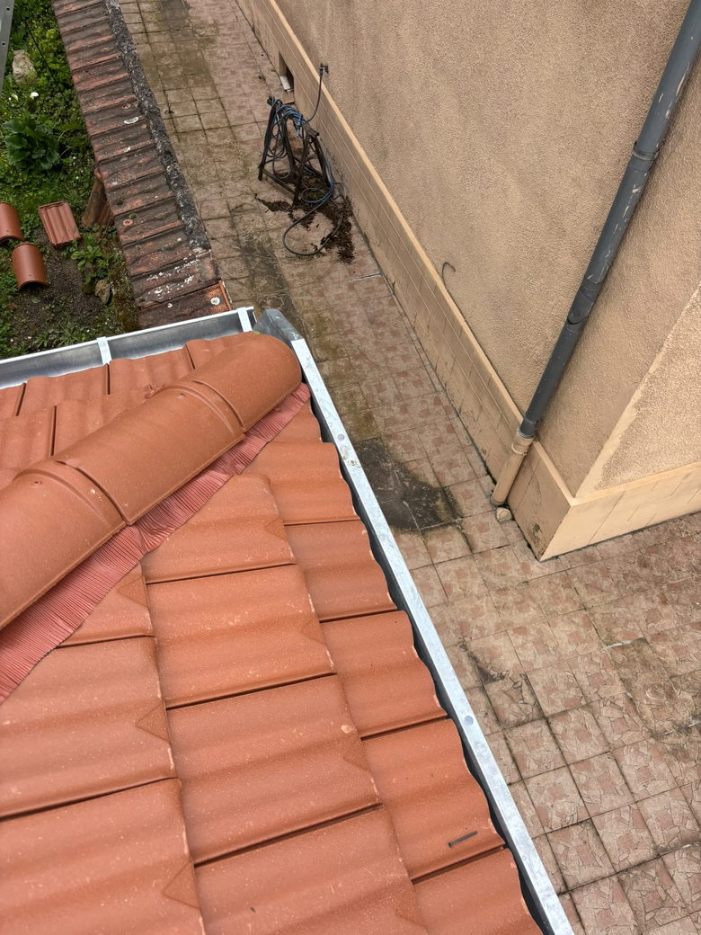 Rive de toit et gouttière longeant une couverture en tuiles